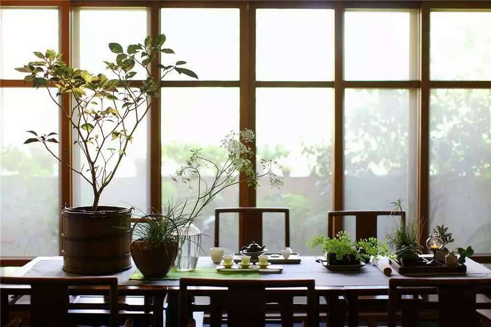 Tea Ceremony